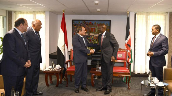 الرئيس السيسي يبحث مع نظيره الكينى عددا من القضايا الإقليمية والقارية (3)