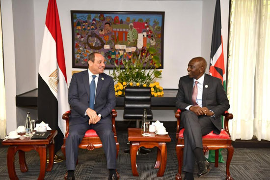 الرئيس السيسي يبحث مع نظيره الكينى عددا من القضايا الإقليمية والقارية (4)