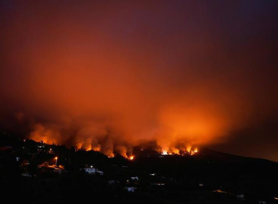 حرائق الغابات فى لابالما (10)
