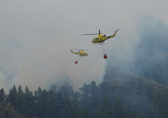 حرائق الغابات فى لابالما (4)