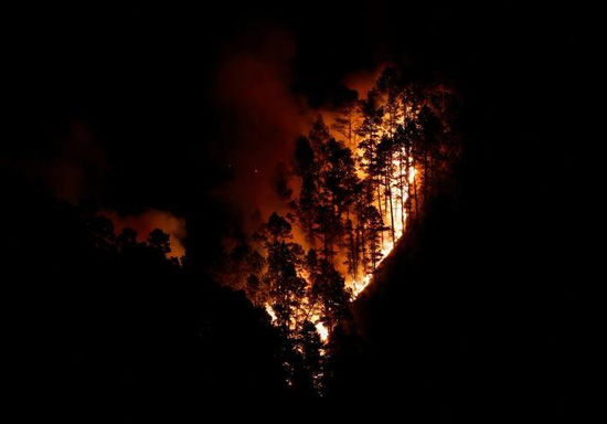 حرائق الغابات فى لابالما (12)