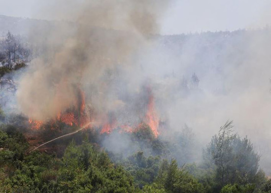 حرائق الغابات فى أثينا (2)