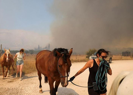 حرائق الغابات فى أثينا (3)