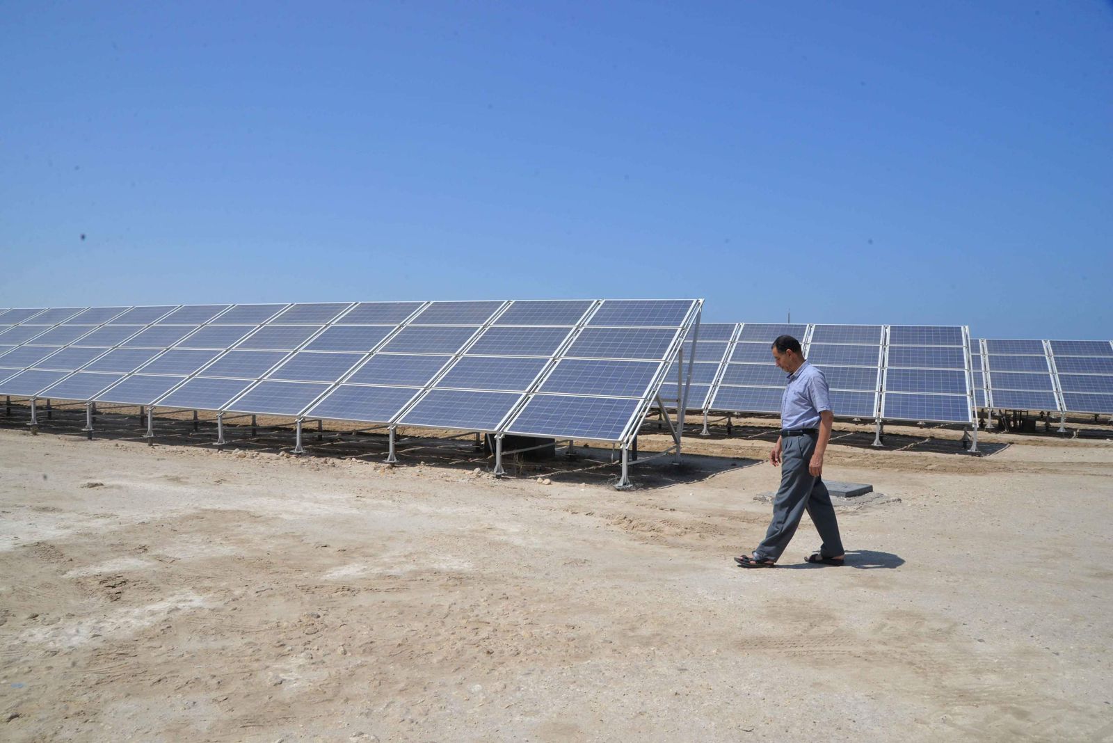 محطة إنتاج الكهرباء من الطاقة الشمسية بجمصة  (3)