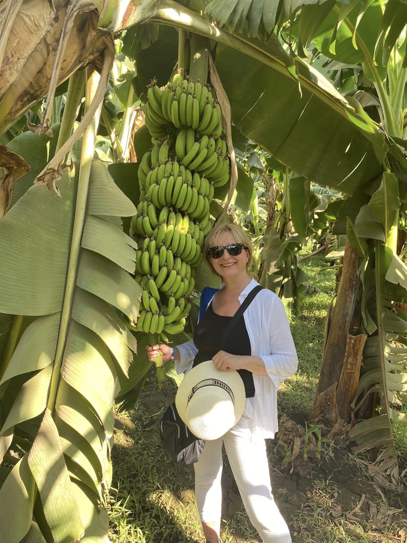 الأجانب يستمتعون وسط زرعات الموز غرب الأقصر
