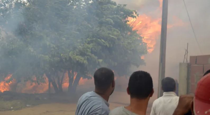 جزائريون يشاهدون الحرائق