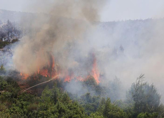 انتشار حرائق الغابات المستعرة في اليونان (12)