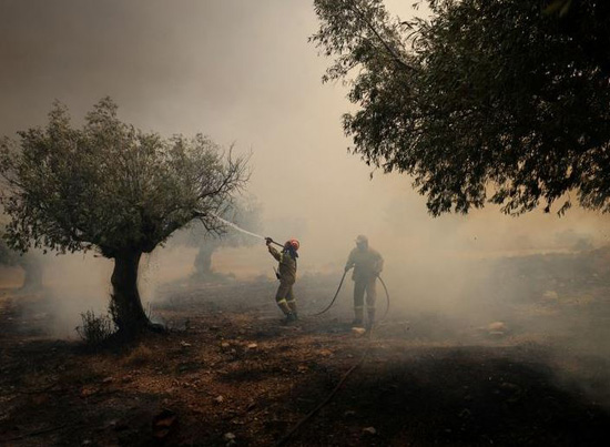 انتشار حرائق الغابات المستعرة في اليونان (14)