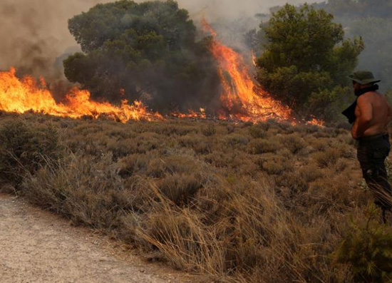 انتشار حرائق الغابات المستعرة في اليونان (11)