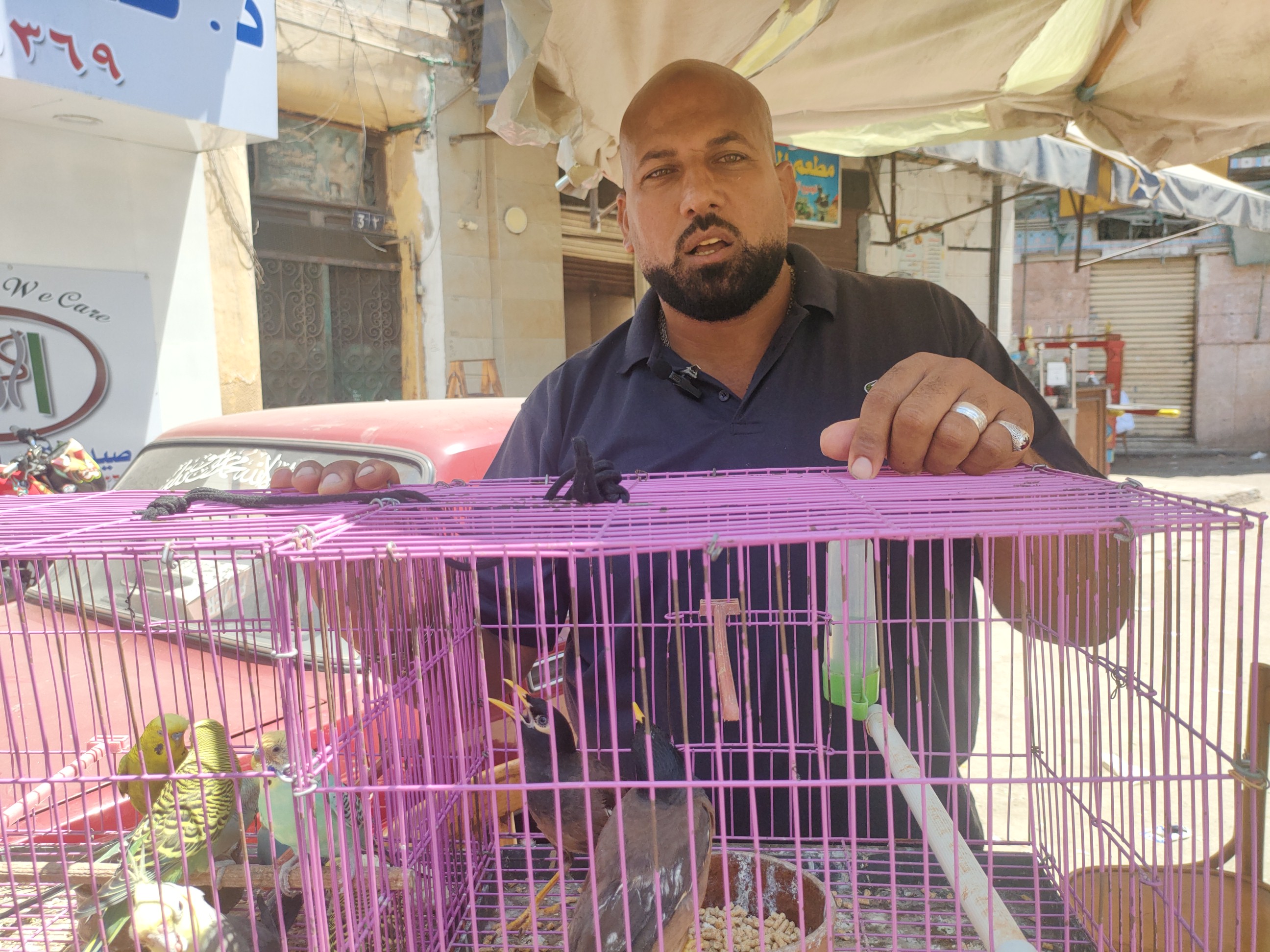 بائع طيور في أسواق الإسكندرية