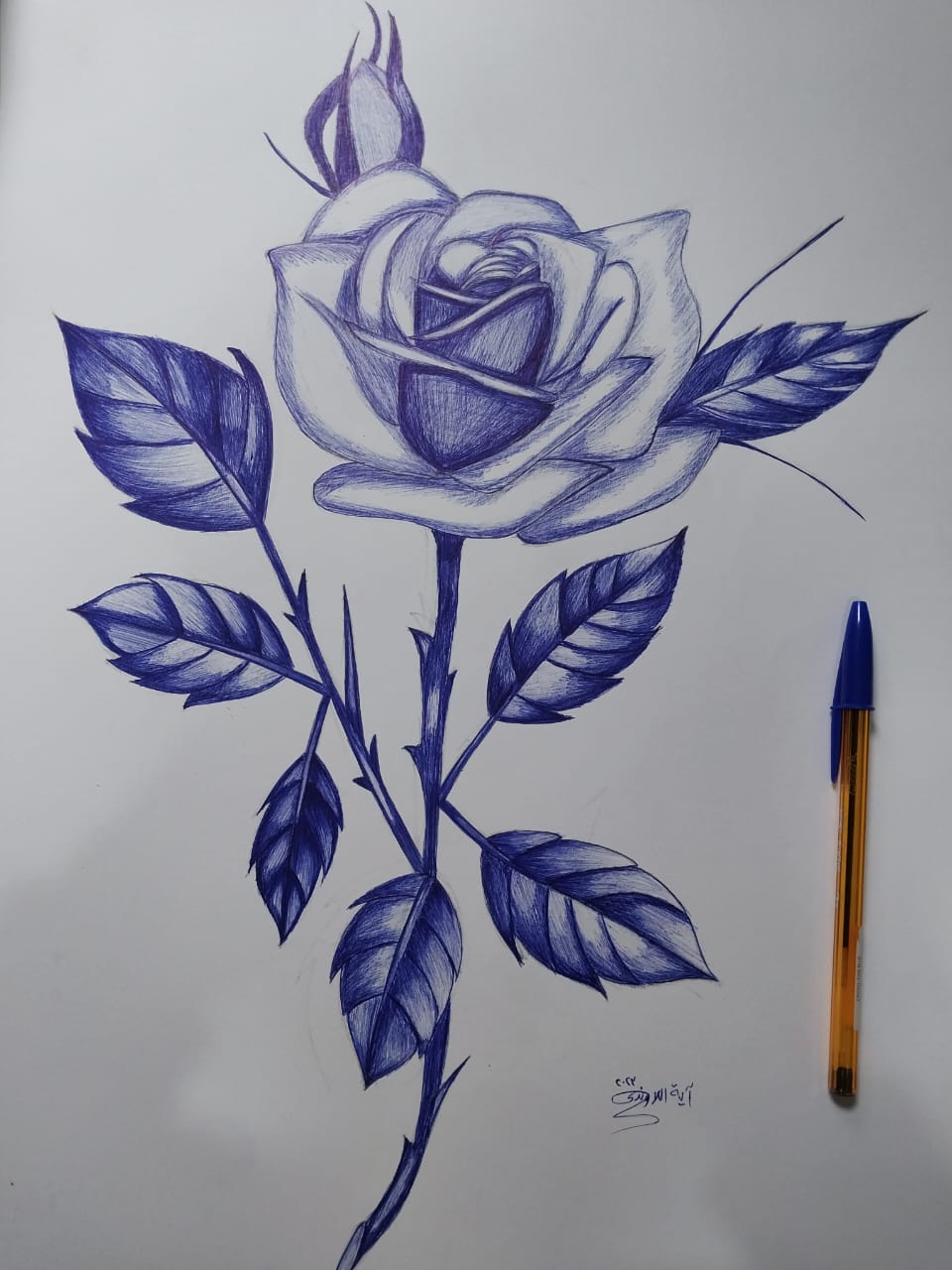 رسومات آية اللاوندى (1)