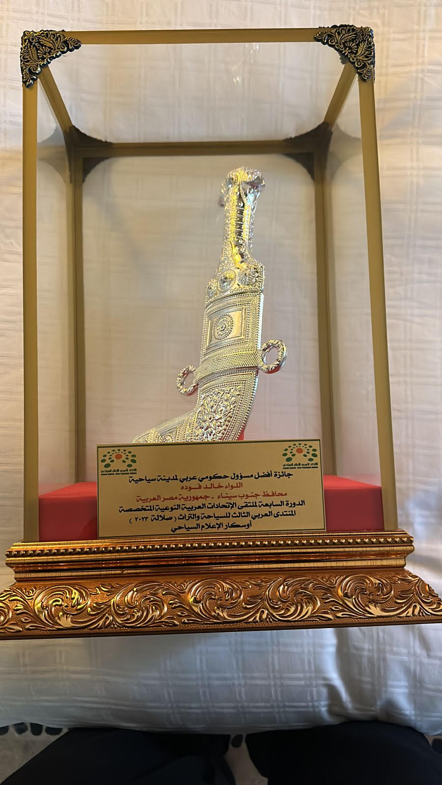 محافظ جنوب سيناء يحصل على جائزة أفضل مسئول حكومى (2)