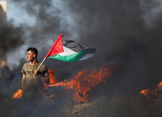فلسطيني يحمل علم بلاده