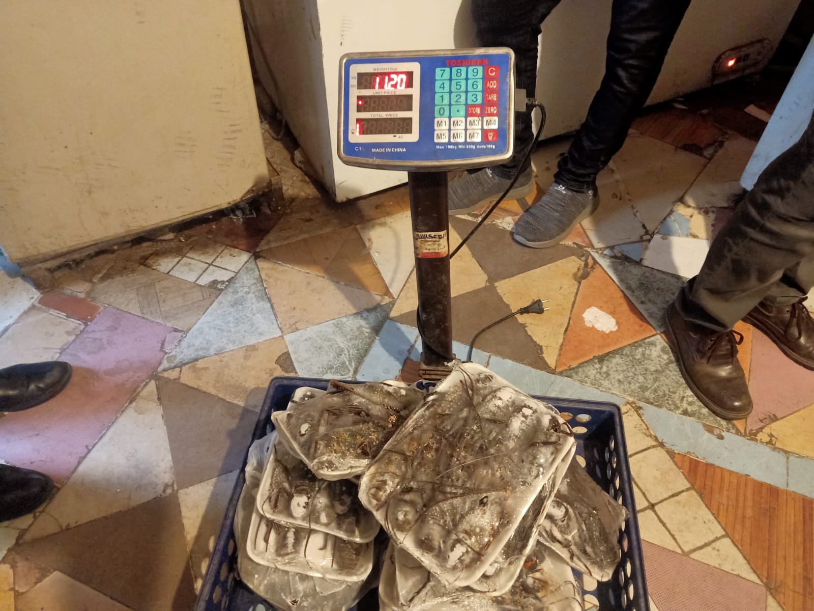 جانب من المضبوطات (3)