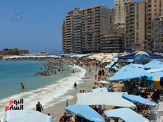 اقبال كبير على شواطئ الإسكندرية  (3)