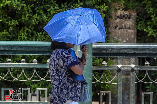 المواطنون يحملون الظلات للاحتماء من ارتفاع درجات الحراره  (3)