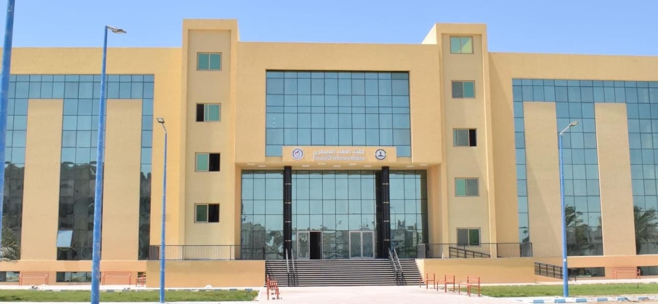 جامعة العريش (4)