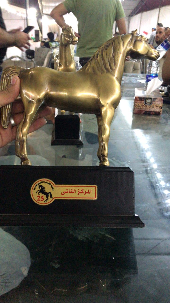 مهرجان الخيول العربية في الشرقية  (5)
