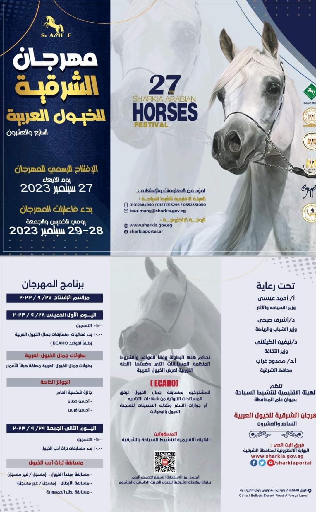 مهرجان الخيول العربية في الشرقية  (7)