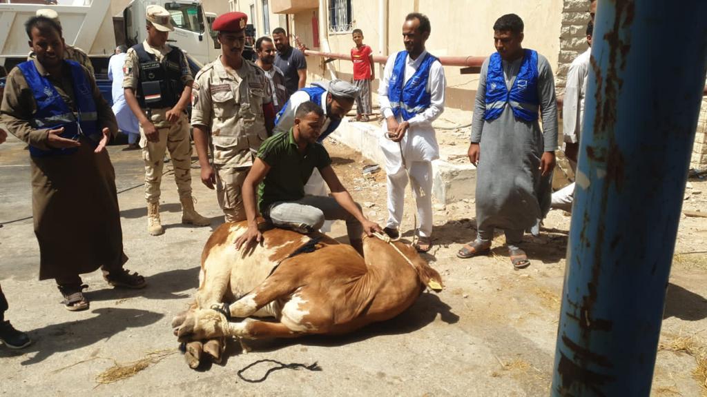 حياة كريمة (6)