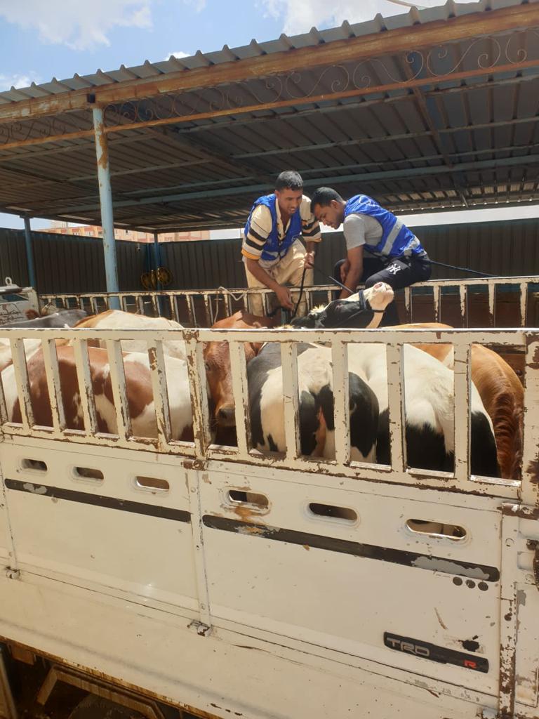 حياة كريمة (4)