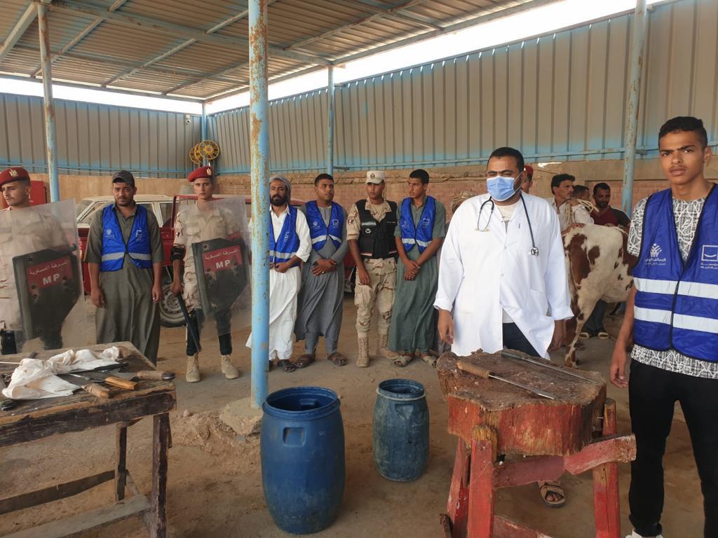 حياة كريمة (10)