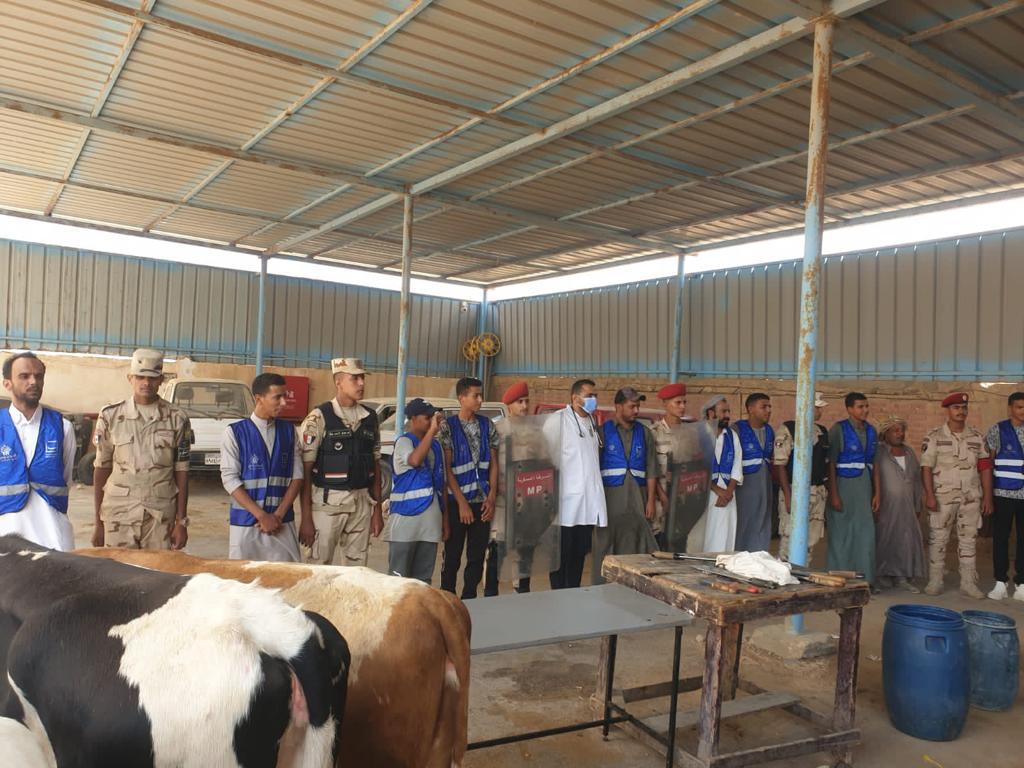 حياة كريمة (5)