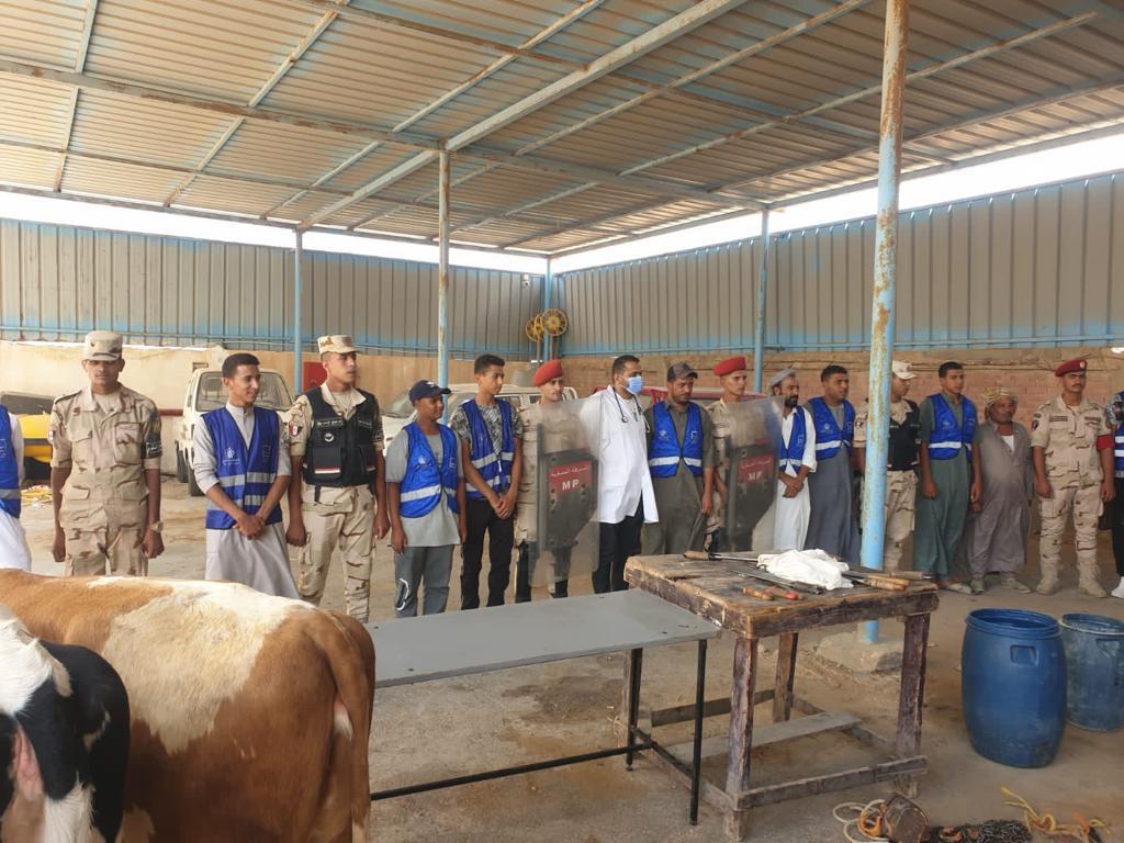 حياة كريمة (3)