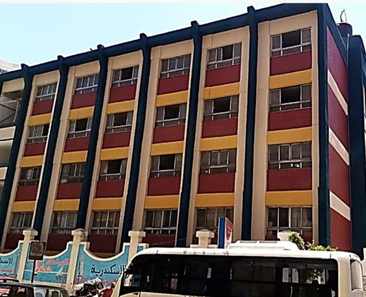 مدارس الاسكندرية تستعد للدراسة مدارس الاسكندرية تستعد للدراسة