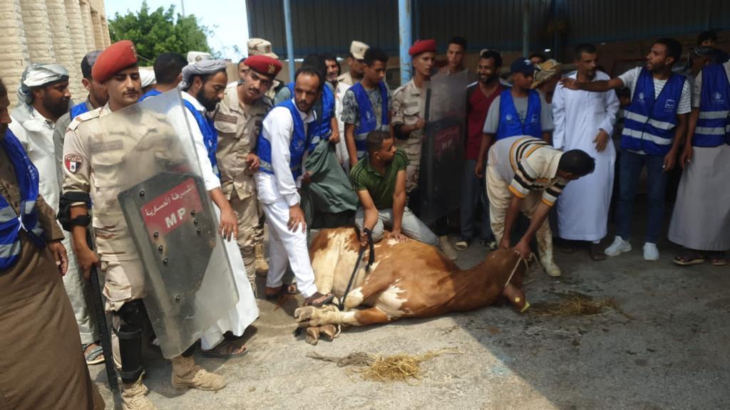 حياة كريمة (9)