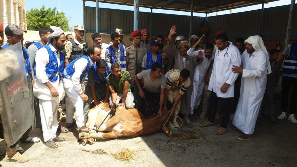 حياة كريمة (1)