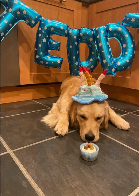 عيد ميلاد الكلب تيد