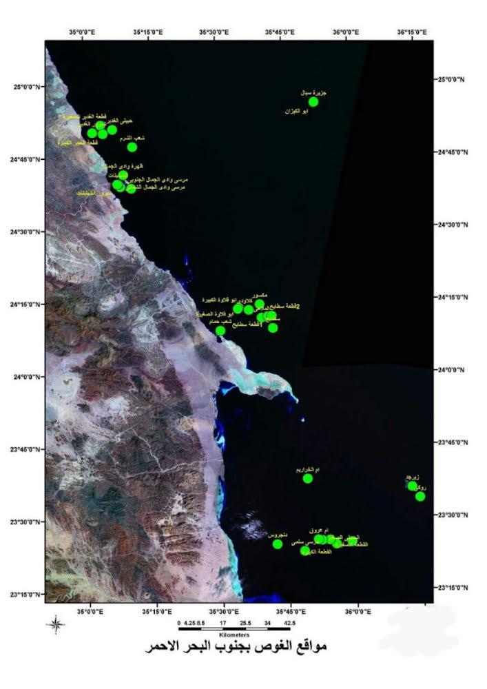 خريطة مواقع الغوص جنوب البحر الأحمر 