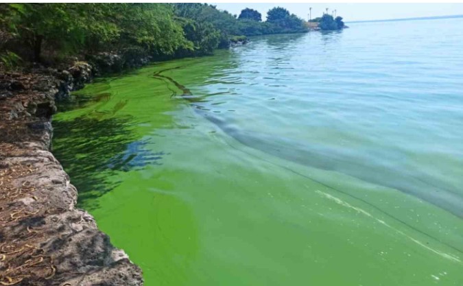 التلوث ينتشر على بحيرة فنزويلية