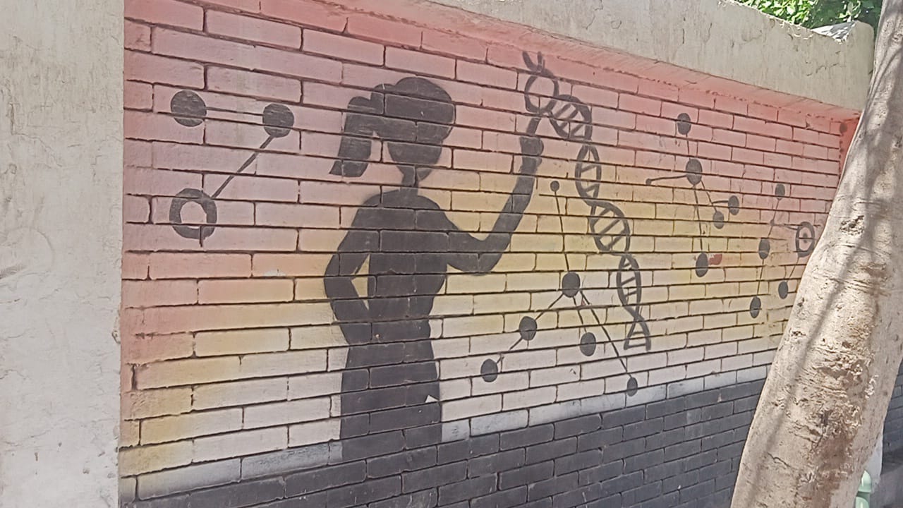 رسومات علمية على جدران مدرسة زويل بدسوق