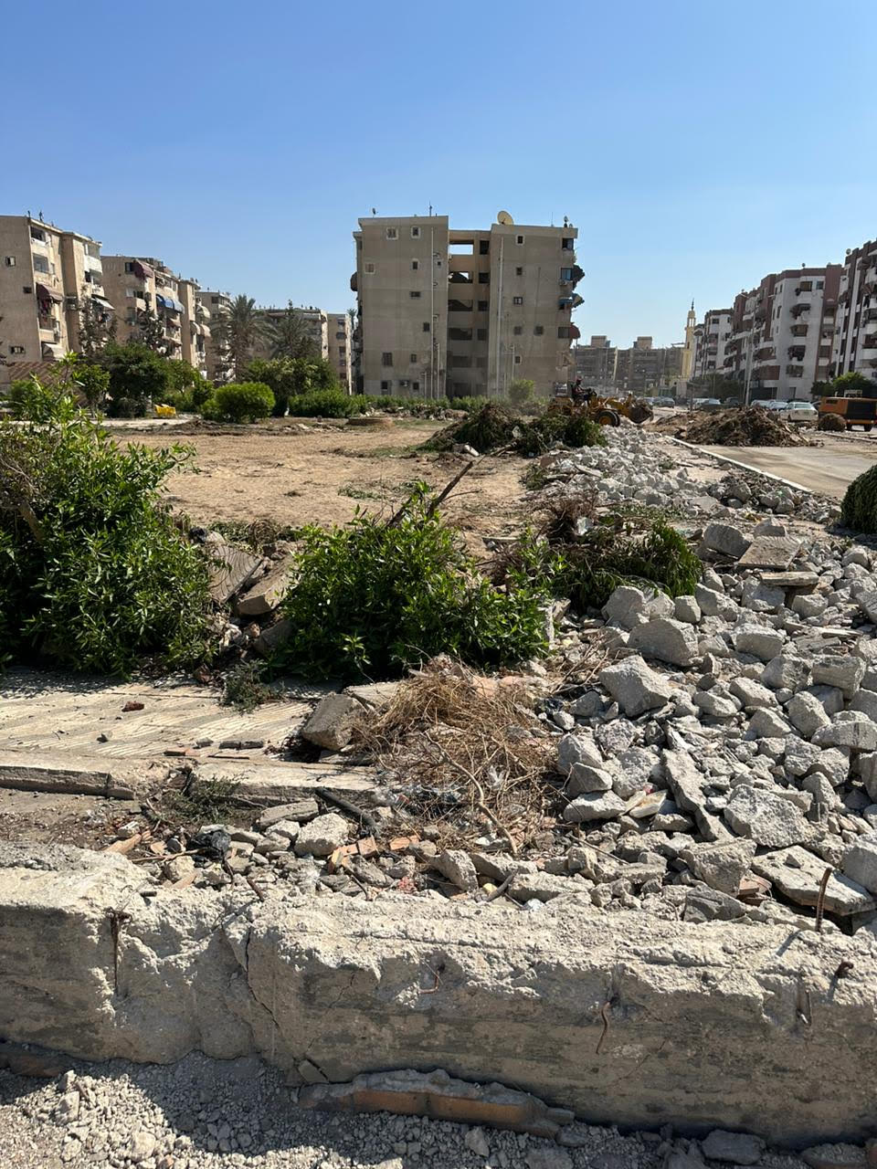تطوير حديقة الكروان ضمن مبادرة حدائق بلا اسوار ببورسعيد 2 تطوير حديقة الكروان ضمن مبادرة حدائق بلا اسوار ببورسعيد 2