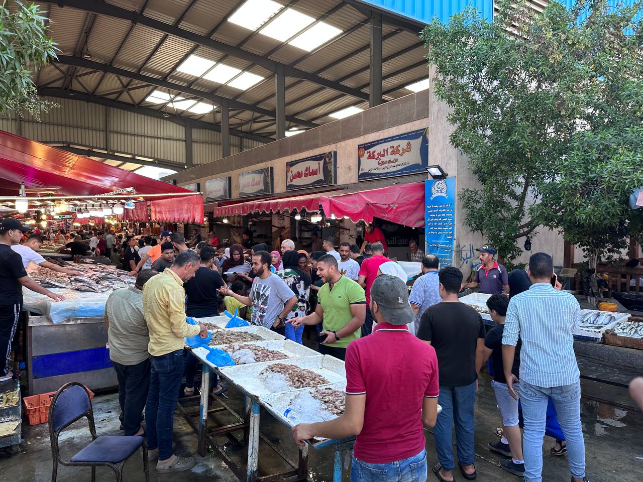 سوق سمك بورسعيد