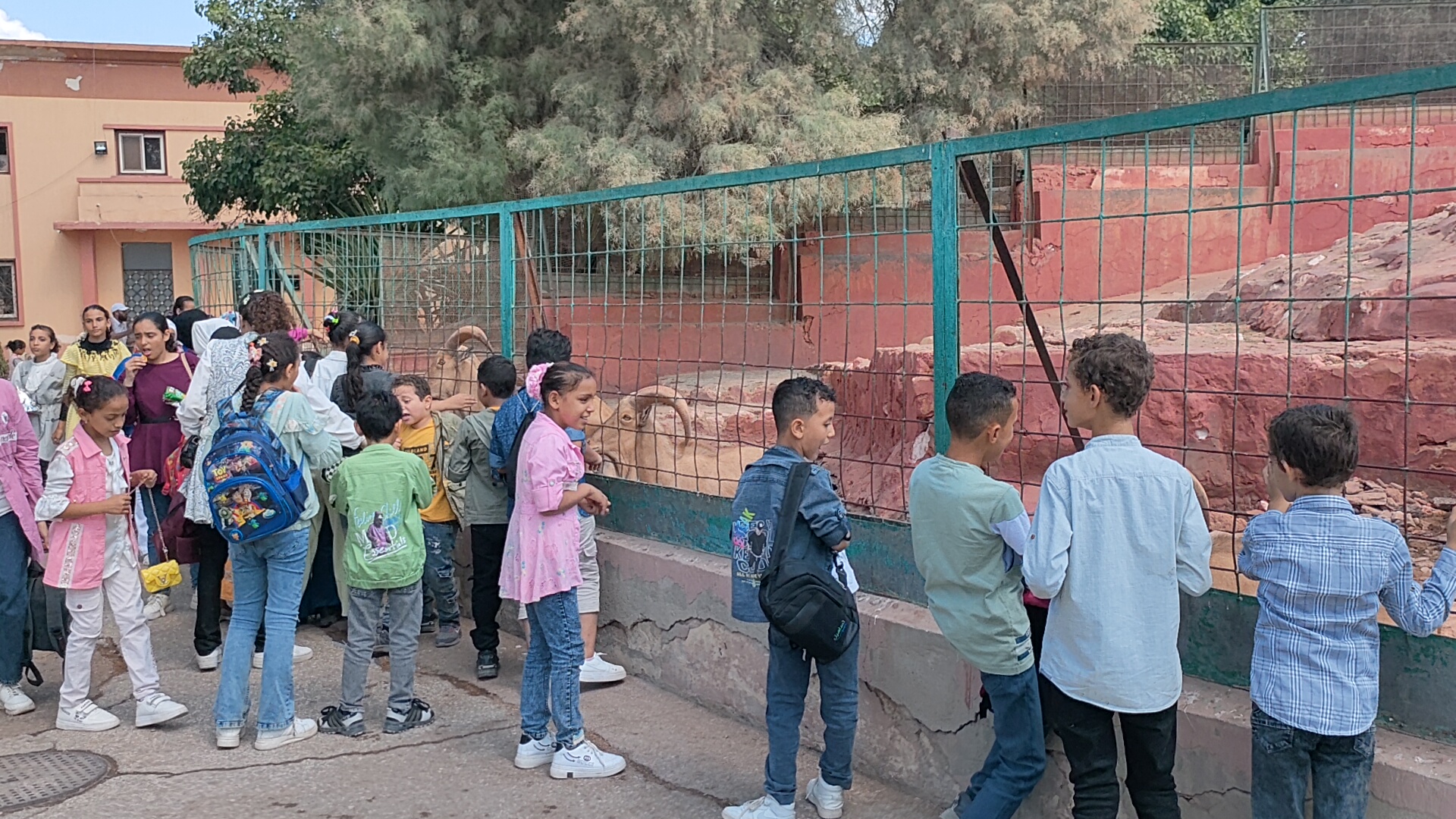توافد الاطفال علي حديقة حيوان الإسكندرية