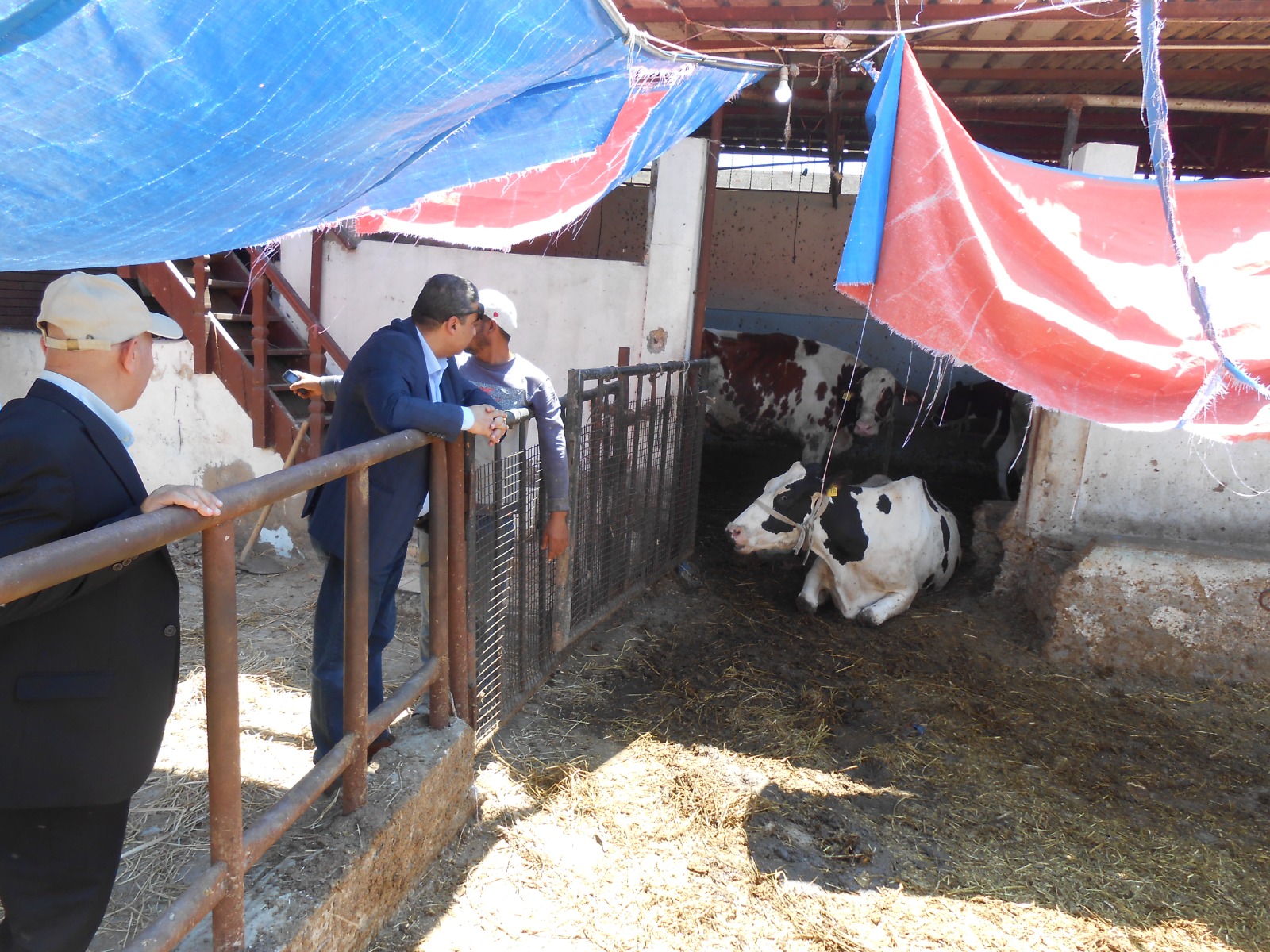  مشروع إقامة نظام لإدارة المخلفات الحيوانية والزراعية بصورة آمنة في منطقة القابوطى ببورسعيد  (3)