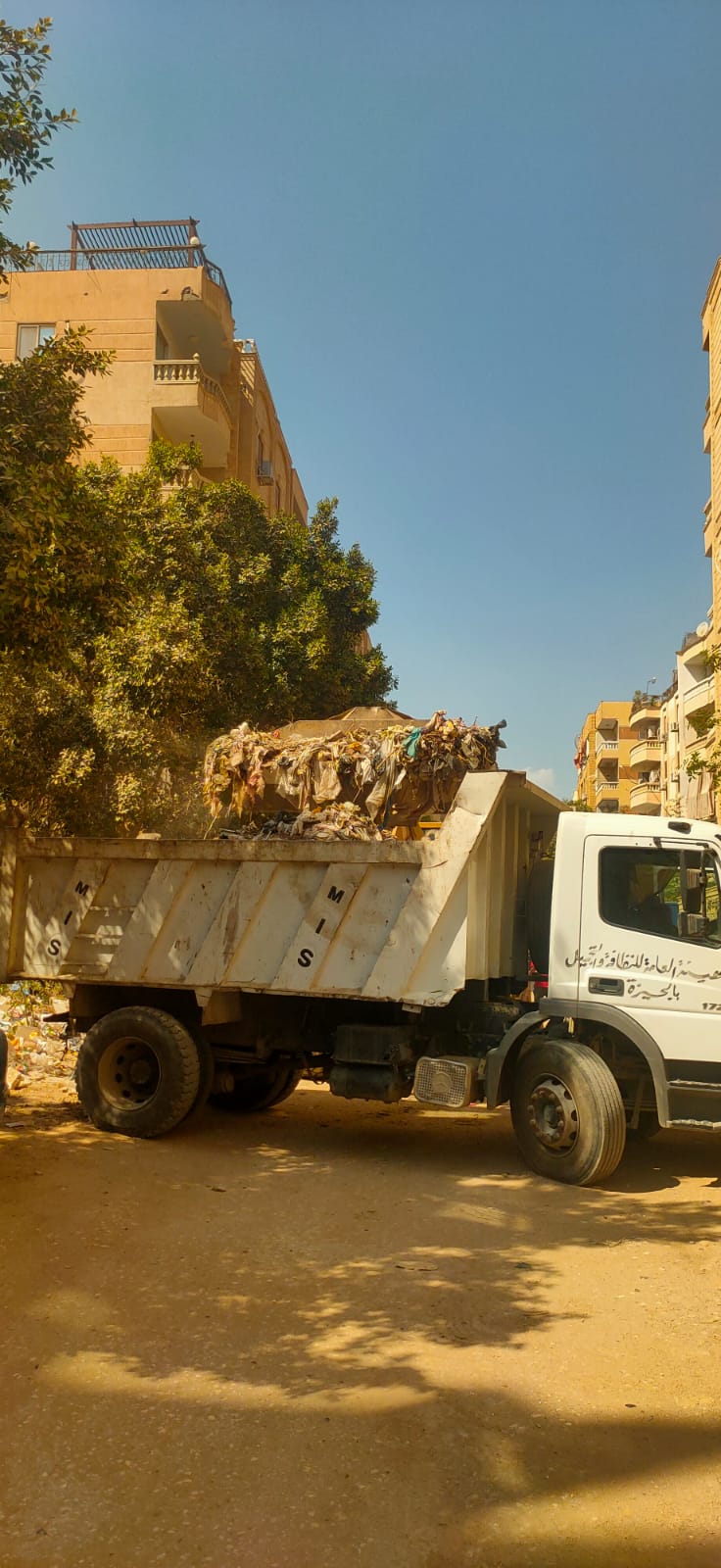 حملات نظافة موسعة بحداق الأهرام (4)