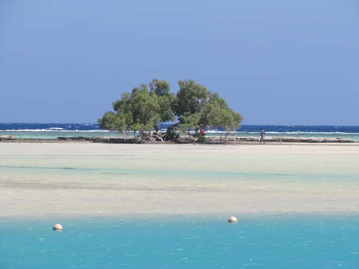 جمال الطبيعة بوادى الجمال