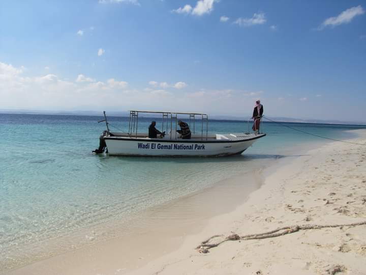 حملات رصد المحميات الطبيعية 