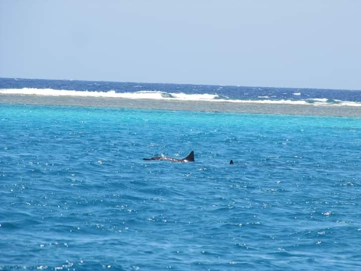 شواطئ حماطه الخلابة 