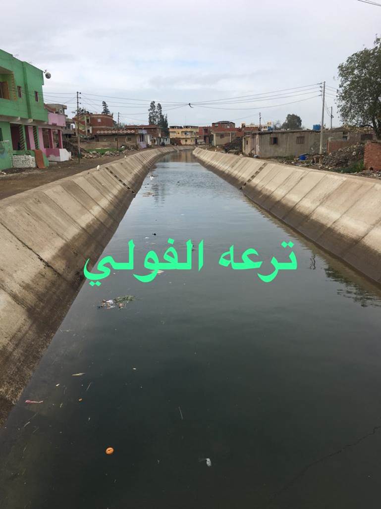 المشروع القومى لتبطين الترع بالشرقية (8)