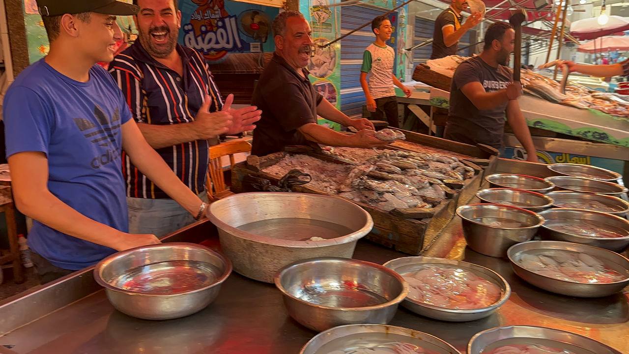 محلات بيع السيبيا