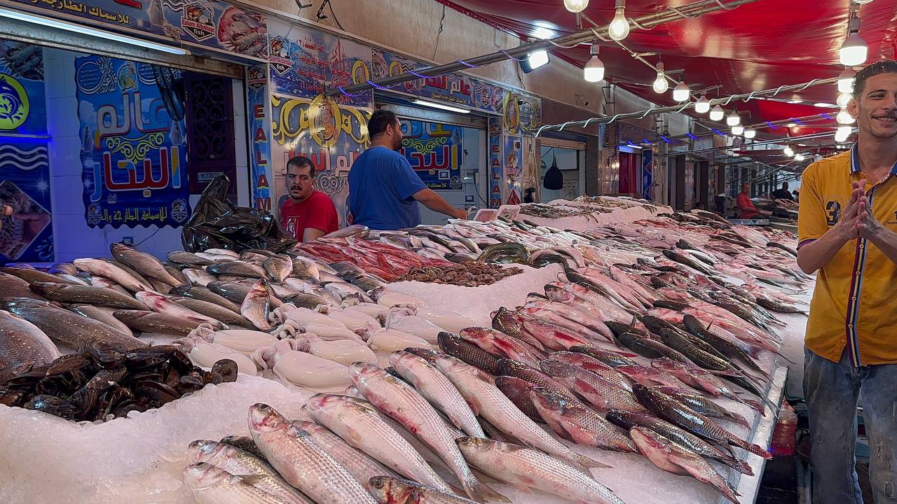 عروض الأسماك