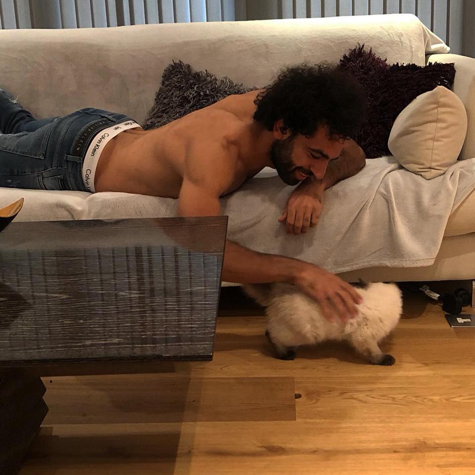 محمد صلاح و القطة