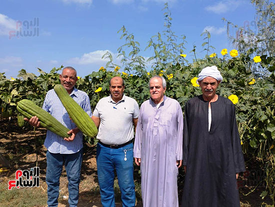مسئولى-الزراعة-بإدارة-بلبيس-الزراعية مسئولى-الزراعة-بإدارة-بلبيس-الزراعية