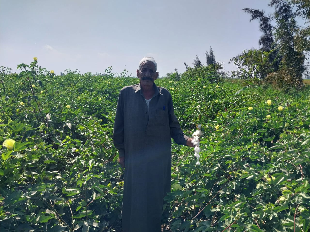 أحد مزارعين دمياط (2)