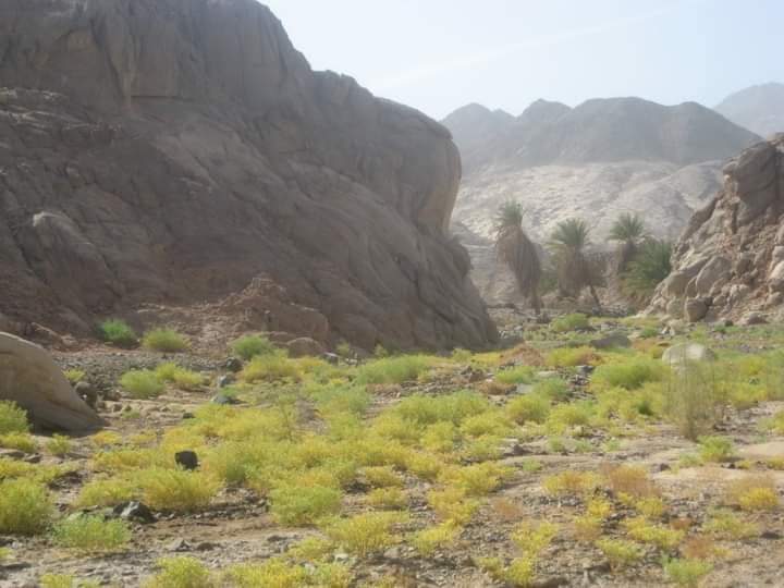 جمال طبيعة جبال واوديه الغردقة